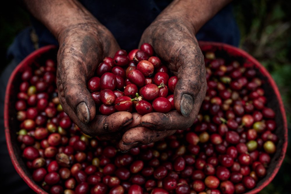 Green Business Photography